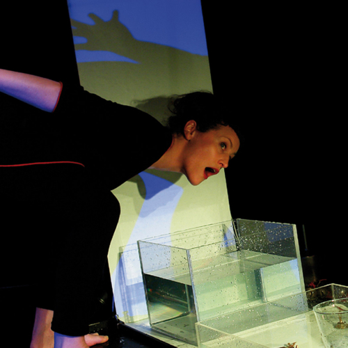 Echos - Cie Le Théâtre du Champ Exquis