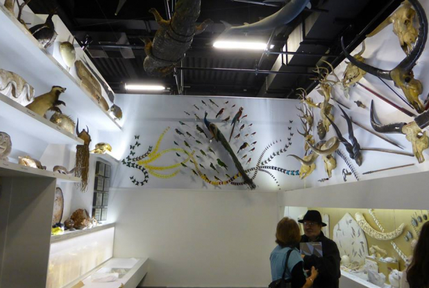 Dans la chambre des merveilles - expo Musée des Confluences