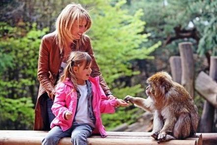 La Montagne des Singes en famille