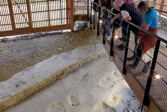 Découvrir l'Ain en été - Dinoplagne