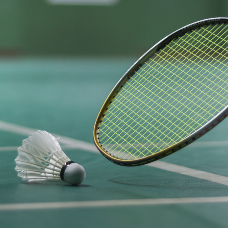 Badminton Bron Evasion