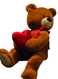 Noël au Museum de Toulouse