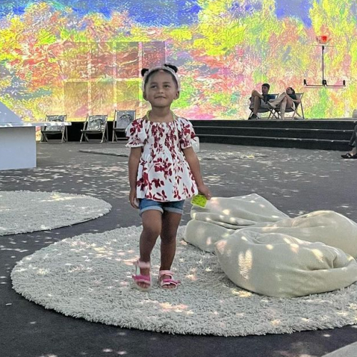 Claude Monet : The Immersive Experience