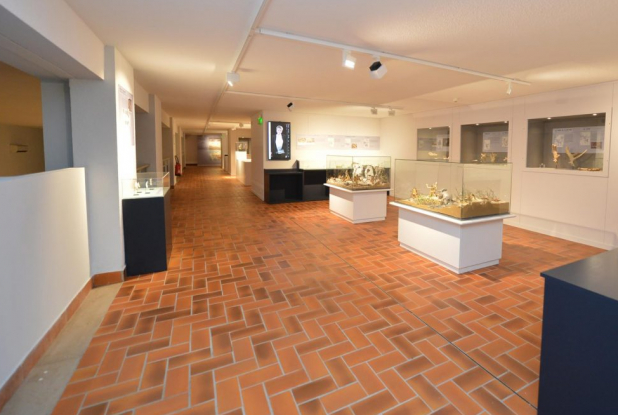 Musée de Préhistoire Terra Amata - Intérieur