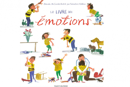 Le livre des émotions : livre Bayard