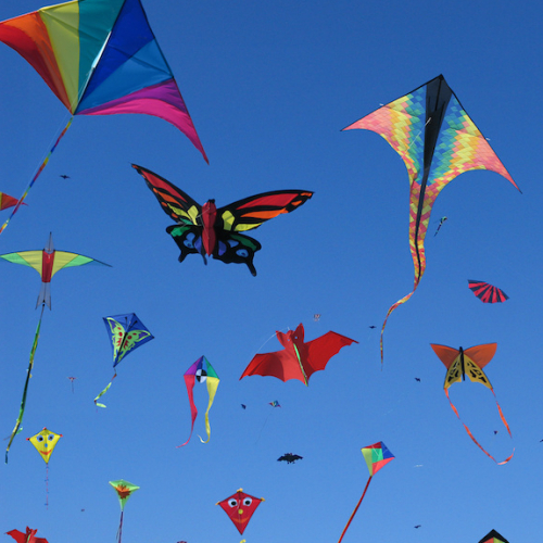 Cerfs-volants dans le ciel