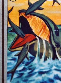 Attention à la marche