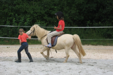 Stage équitation enfants