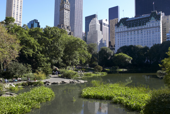 Central Park à New York