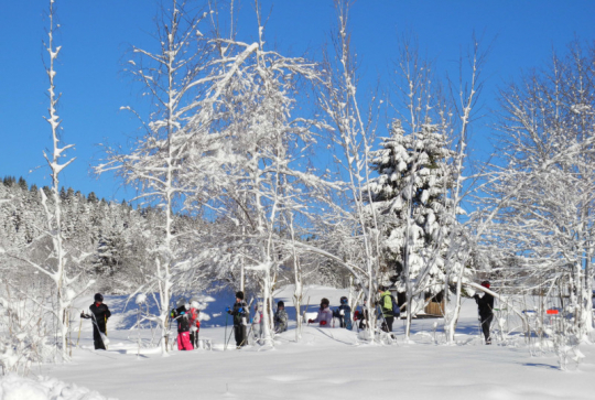 5 raisons de découvrir les Alpes du Léman cet hiver 2025-26 - domaines nordiques