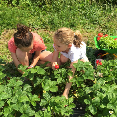 Fête des fruits et des légumes frais à Lille