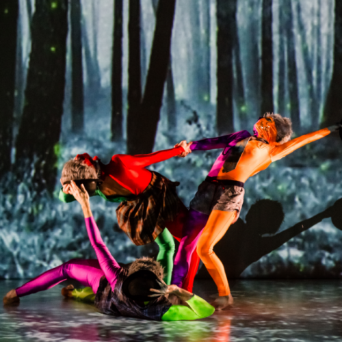 MMO Ma Mère l'Oye - Lionel Hoche