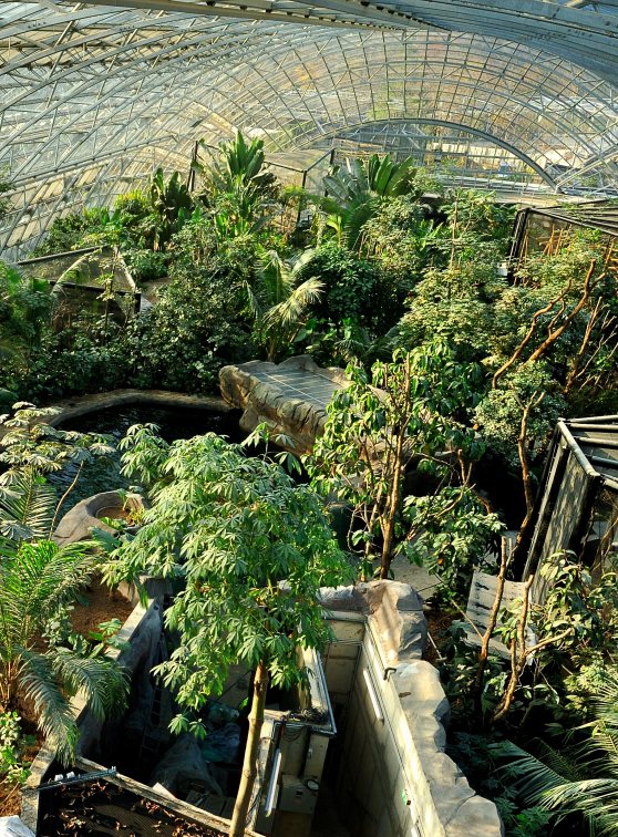 Parc Zoologique de Paris 2