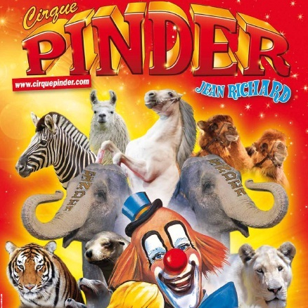 Pinder 2013