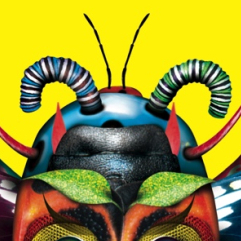 Festival des insectes 2017