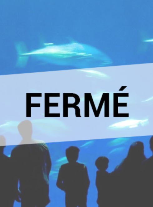 Sealand Noirmoutier : fermé