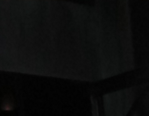 Chasse aux oeufs de Pâques à Bordeaux - participants