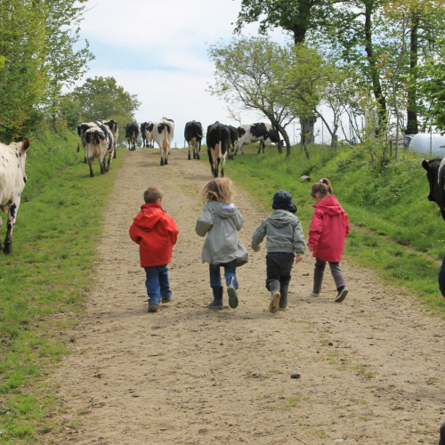 À la ferme pédagogique - La Rofinière