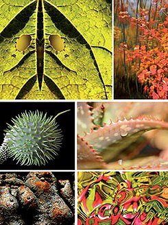 Expos du Collectif Photon à Menton