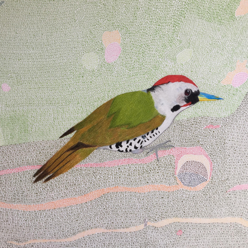 Expo Musicanimale - Pic Aworéka - Miruka à la Philharmonie de Paris