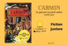 Carmin - roman
