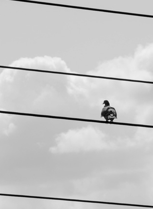 Monsieur Croche - Les Nouveaux Caractères