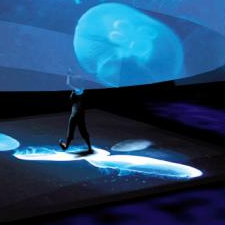 Bleu ! - Compagnie TPO