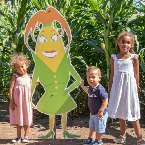 Pop Corn Labyrinthe - Rennes