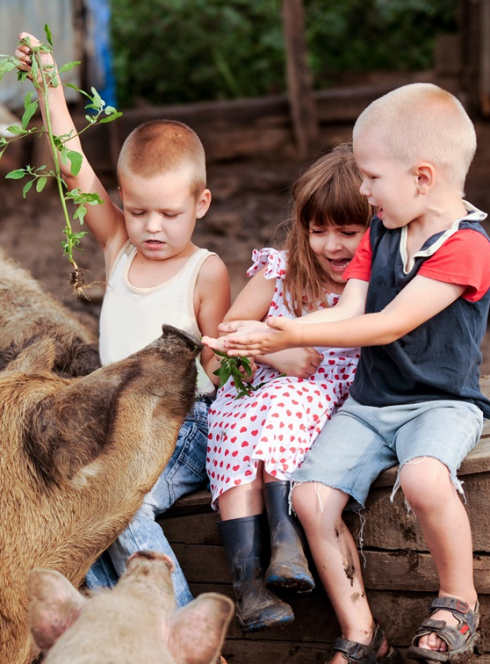 Top des fermes en famille à Bordeaux et ses alentours