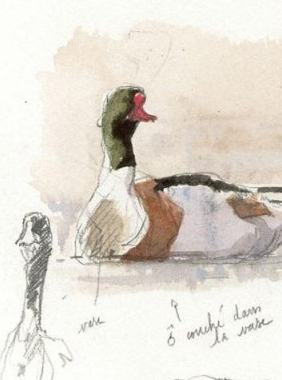 Expo Du volume au trait