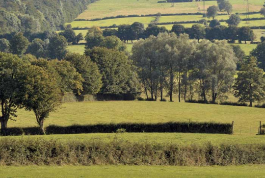 Bocage de l'Avesnois