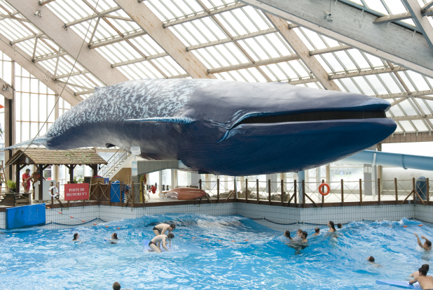 Baleine Aquaboulevard