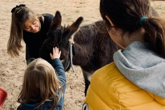 Ferme pédagogique du Bel Air : âne