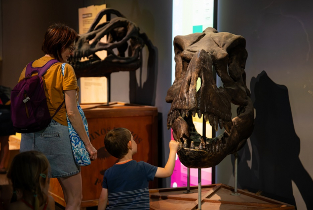 Expo Dinosaures à Cap Sciences : un enfant face à un squelette