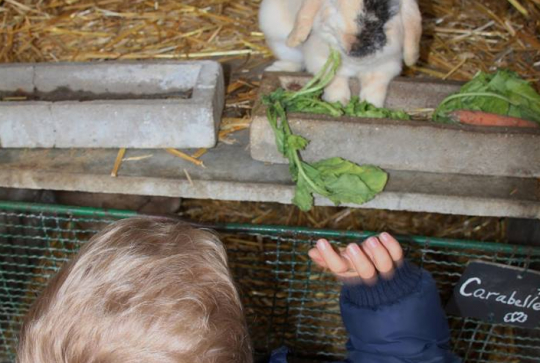 Ferme de la Ranjonnière - Lapin