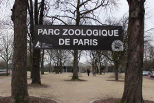 Parc zoologique de Paris @CitizenKid