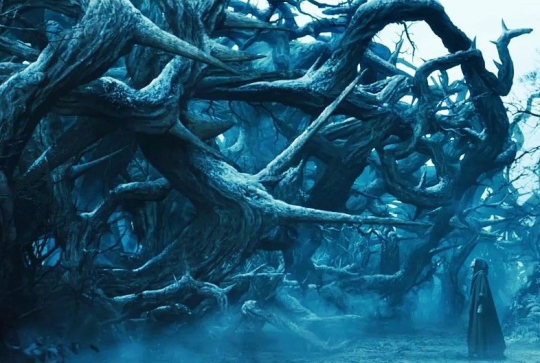 Forêt de ronces - Maléfique