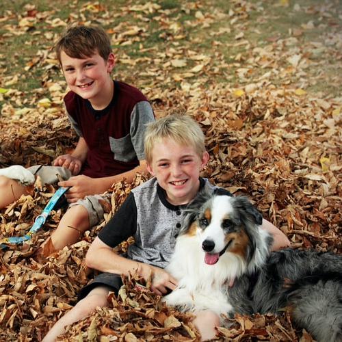 Quel animal de compagnie choisir pour ses enfants ?