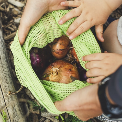 L'Hérault fête le bio