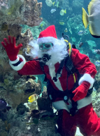 Vacances Planet Ocean