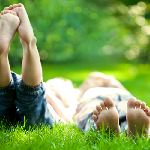 Rendez-vous aux jardins Marseille 2023