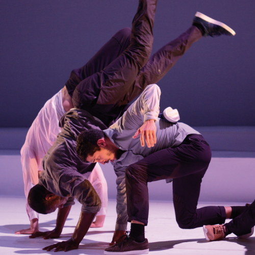 Allegria - Cie Accrorap