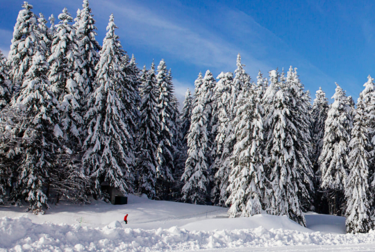 Où faire du ski de fond autour de Lyon ? : Chamechaude