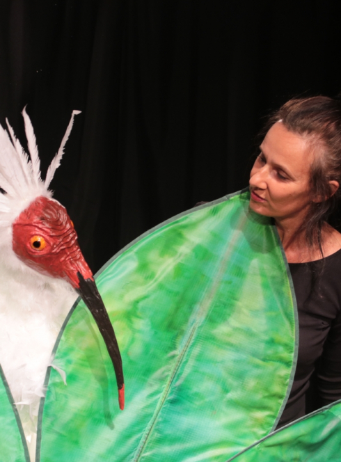 L'envolée de Shemza - Cie L’Ombrine et le Fantascope