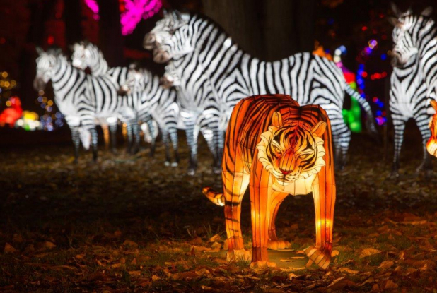 Festival Lumières sauvages au Safari de Peaugres