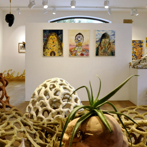 Festival Multi prises