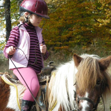poney club