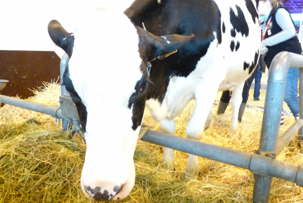 Salon de l'agriculture