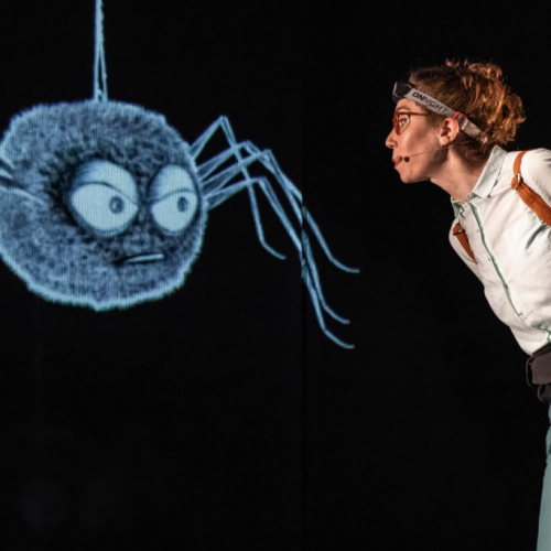 Anita Peur de Tout - Les femmes et les enfants d'abord