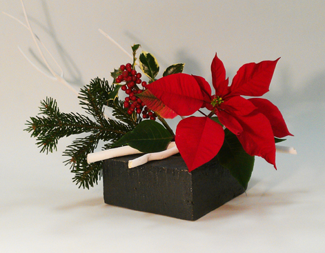 Espace Lyon Japon : Ikebana Noël